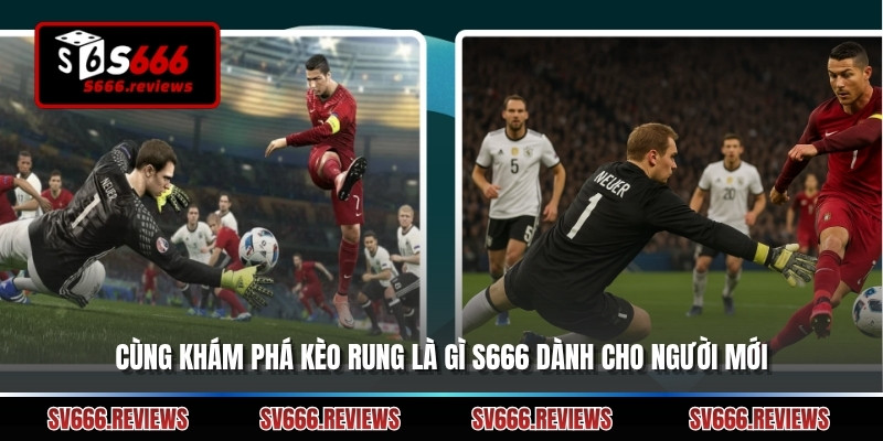 Cùng khám phá kèo rung là gì s666 dành cho người mới