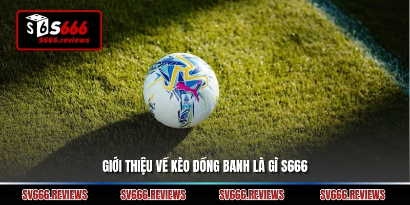Giới thiệu về kèo đồng banh là gì s666