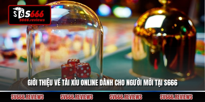 Giới thiệu về Tài xỉu online dành cho người mới tại s666