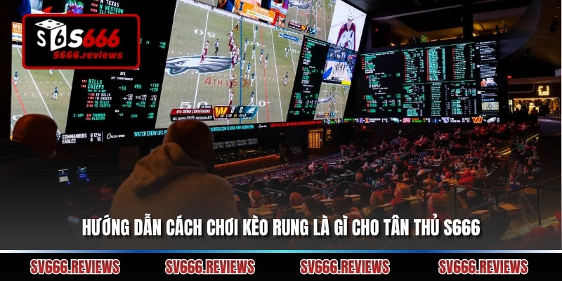 Hướng dẫn cách chơi kèo rung là gì cho tân thủ s666