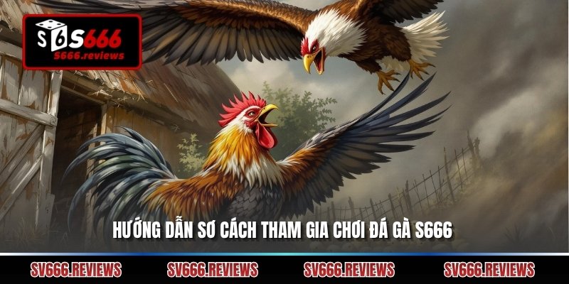 Hướng dẫn sơ cách tham gia chơi Đá gà s666 