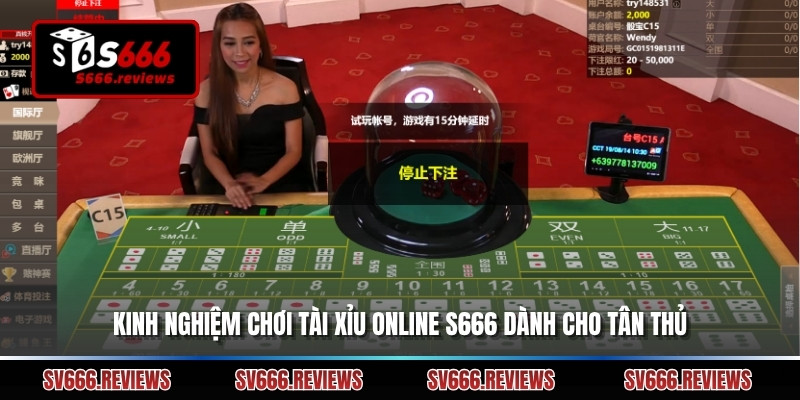 Kinh nghiệm chơi Tài xỉu online s666 dành cho tân thủ