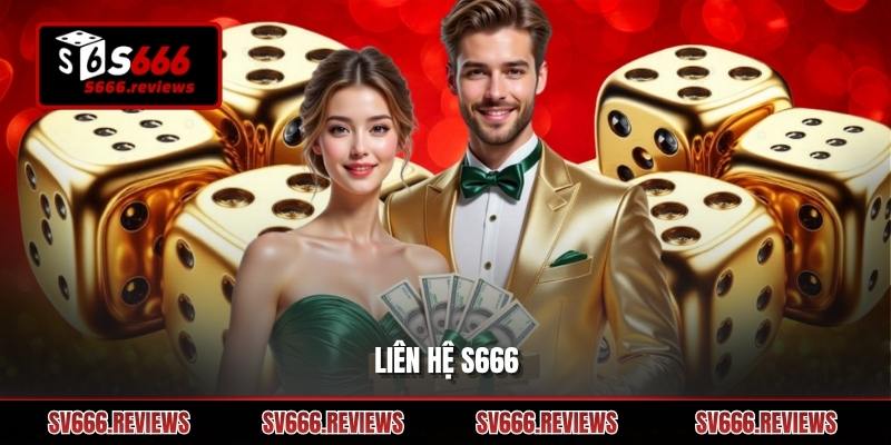 Liên hệ s666: Cách kết nối hỗ trợ nhanh và đúng khi cần thiết