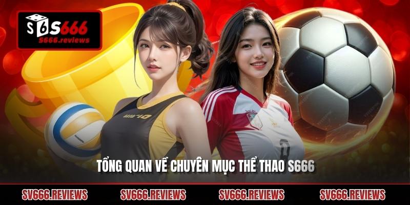 Giới thiệu về Thể thao s666 dành cho người mới 