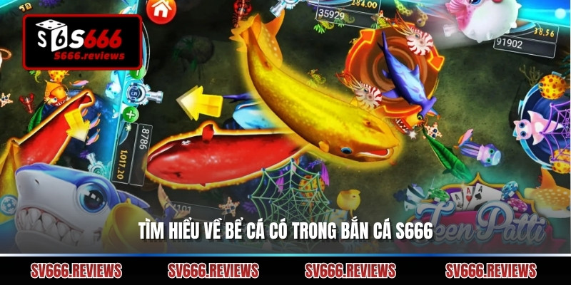 Tìm hiểu về bể cá có trong Bắn cá s666 